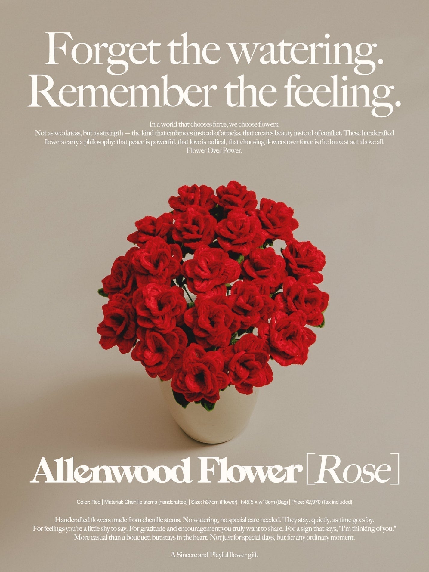「Allenwood Flower」 スタート ー 枯れない想いを、あなたに。