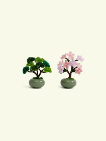 ALLENWOOD FLOWER [BONSAI]