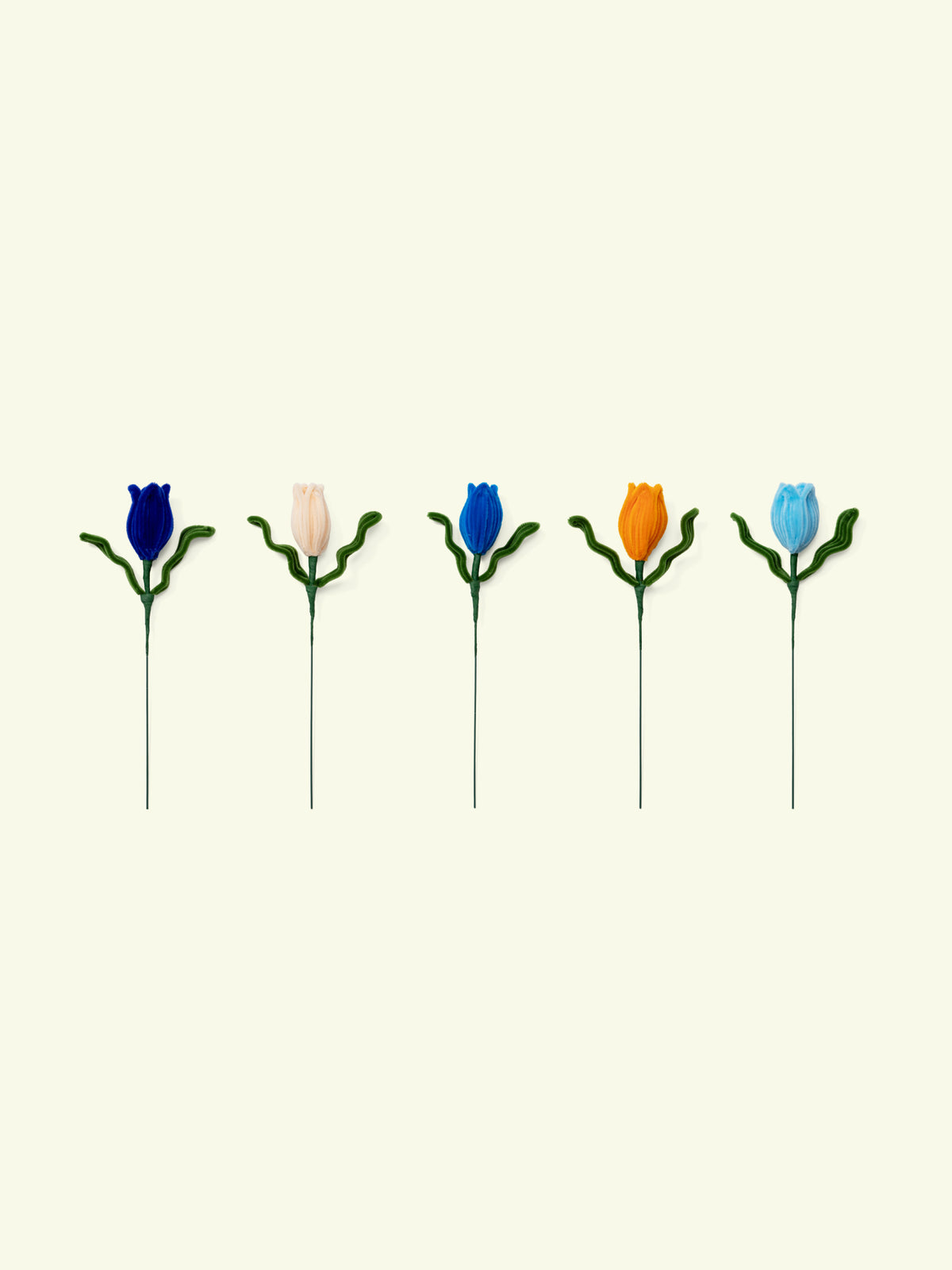 ALLENWOOD FLOWER [TULIP]