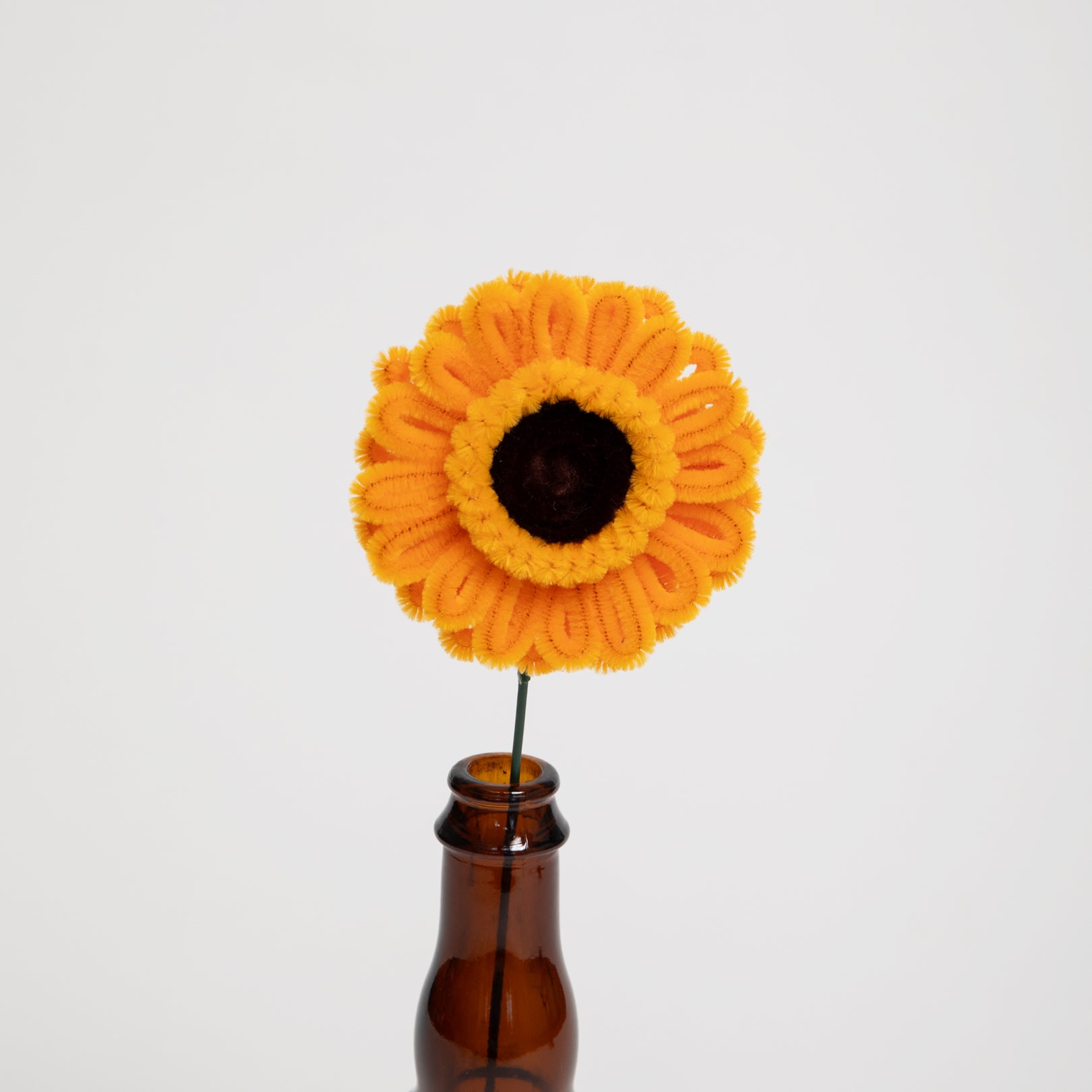 Allenwood Flower [Garbera Daisy]