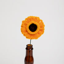 Allenwood Flower [Garbera Daisy]