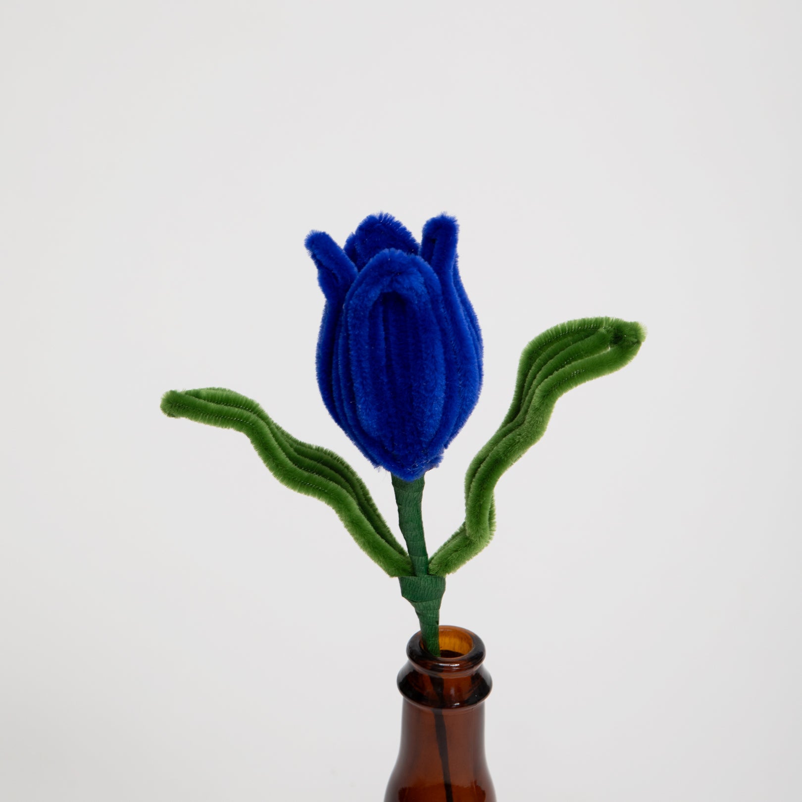 Allenwood Flower [Tulip]