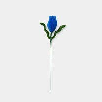 Allenwood Flower [Tulip]