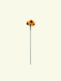 ALLENWOOD FLOWER [FORGET-ME-NOT]