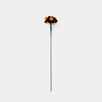 Allenwood Flower [Forget-Me-Not]