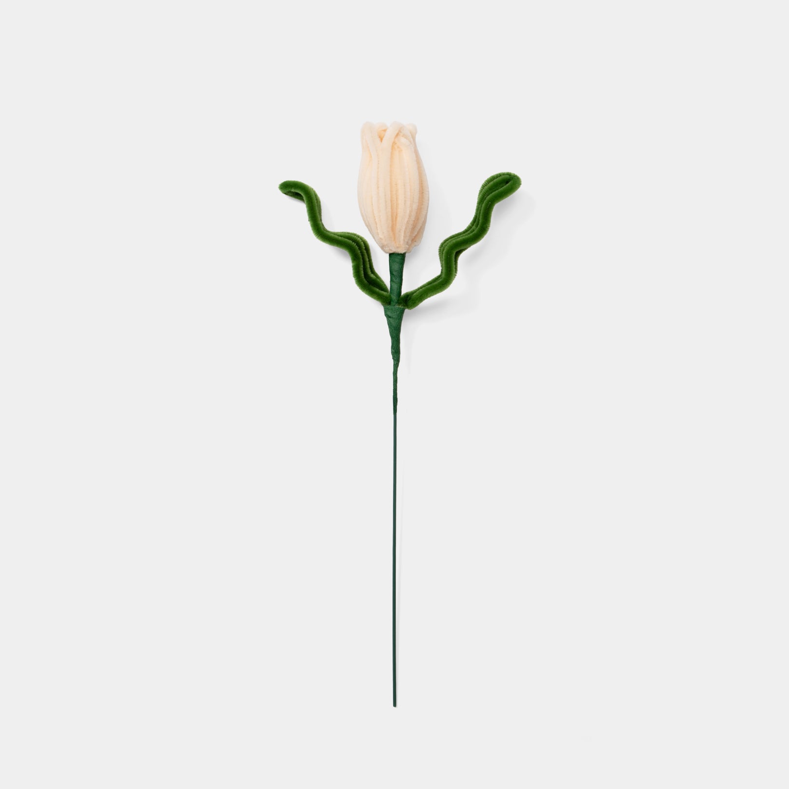 Allenwood Flower [Tulip]