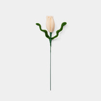 Allenwood Flower [Tulip]