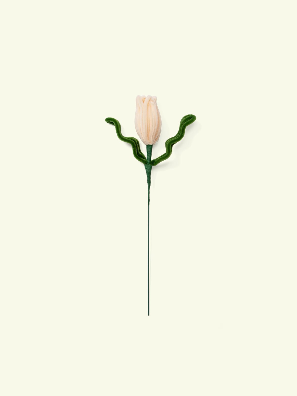 ALLENWOOD FLOWER [TULIP]