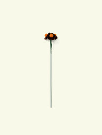 ALLENWOOD FLOWER [FORGET-ME-NOT]
