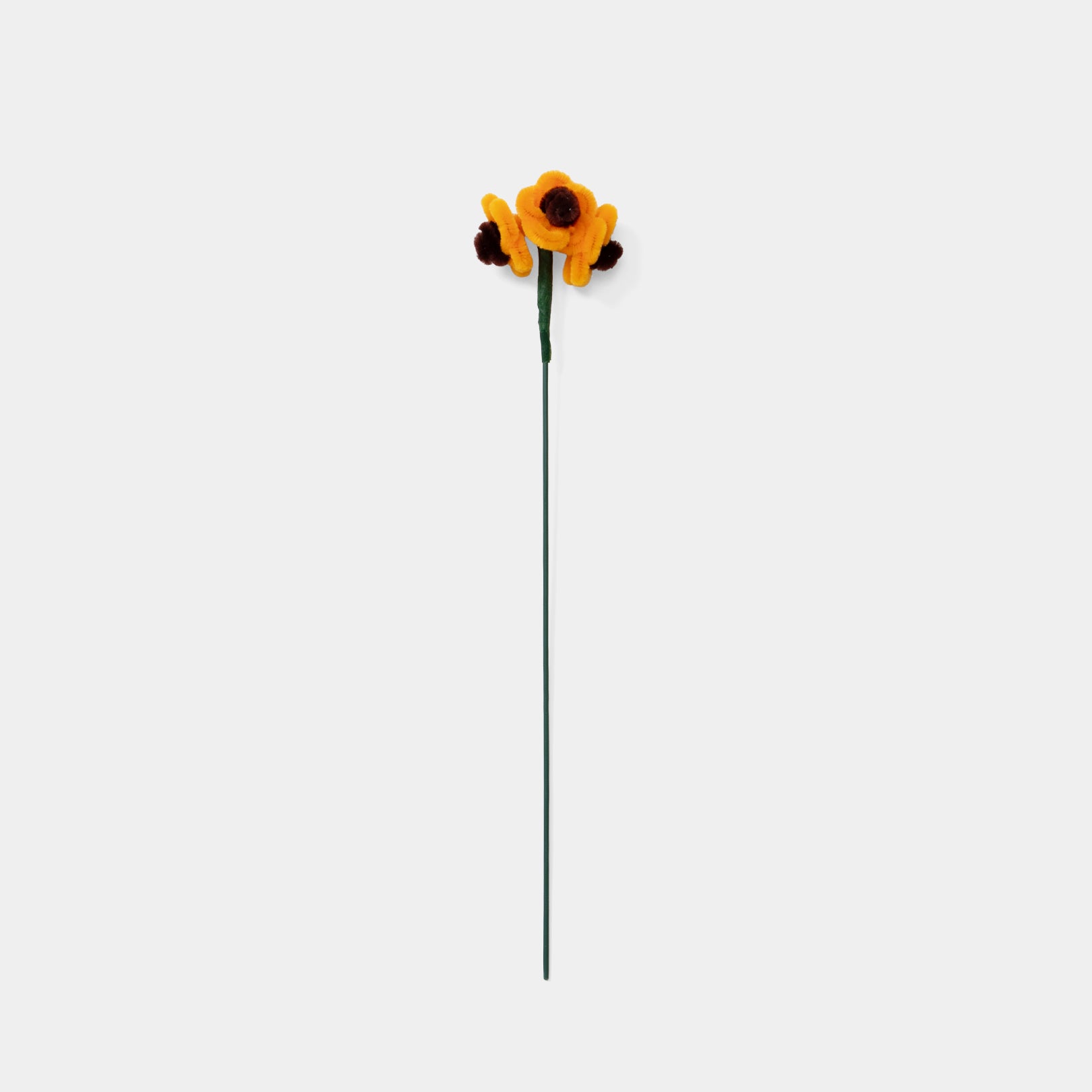 Allenwood Flower [Forget-Me-Not]