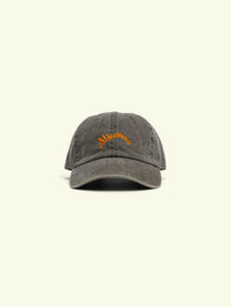 LIBERTY PIGMENT 6 PANEL