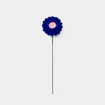 Allenwood Flower [Garbera Daisy]