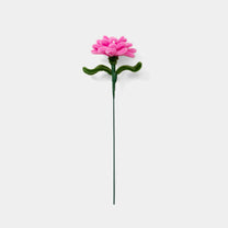 Allenwood Flower [Carnation]