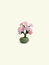ALLENWOOD FLOWER [BONSAI]