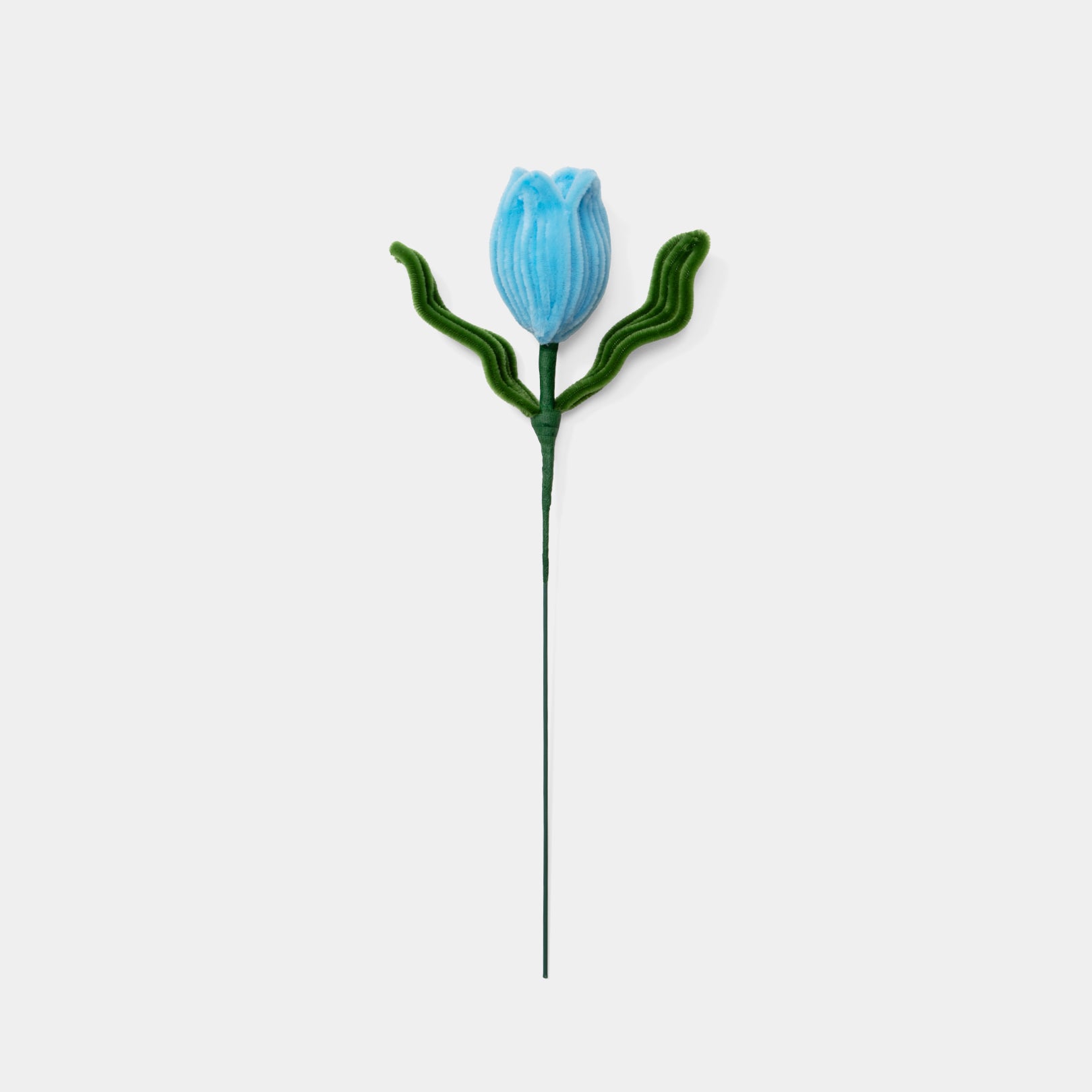Allenwood Flower [Tulip]