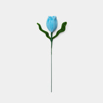 Allenwood Flower [Tulip]
