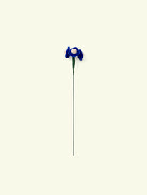 ALLENWOOD FLOWER [FORGET-ME-NOT]