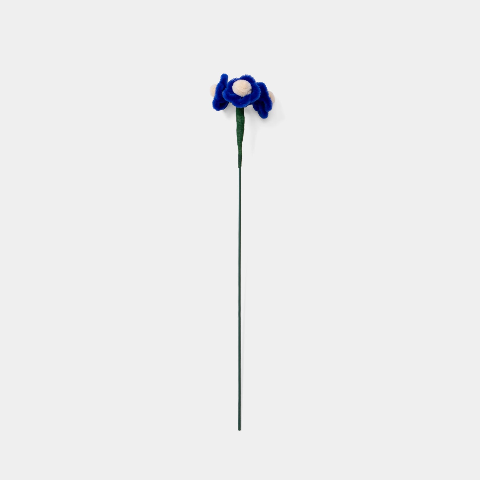 Allenwood Flower [Forget-Me-Not]