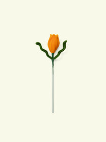 ALLENWOOD FLOWER [TULIP]