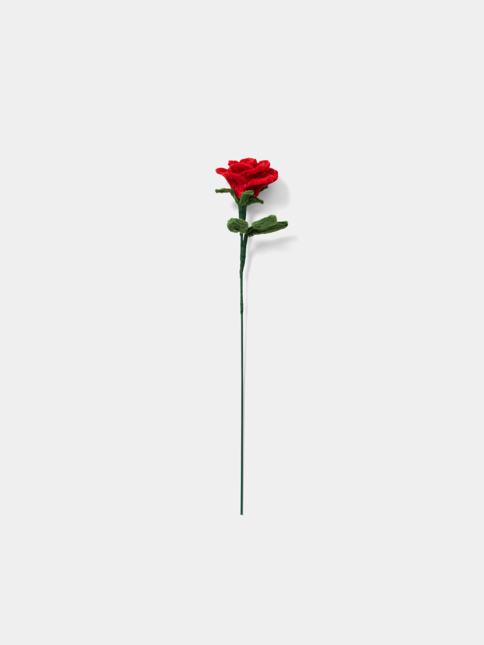 Allenwood Flower [Rose]