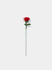 Allenwood Flower [Rose]