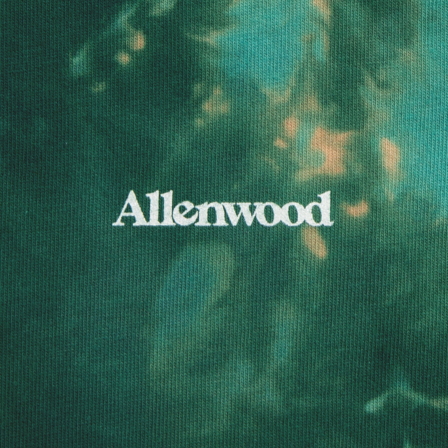 Bleach L/S T-shirt [Billiard Green]