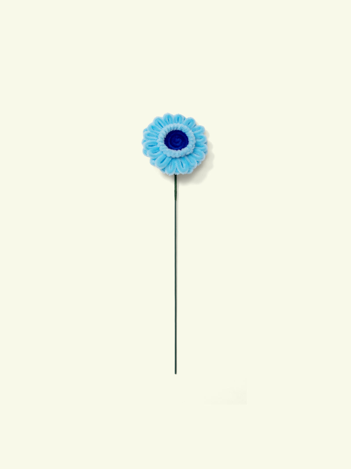 ALLENWOOD FLOWER [GARBERA DAISY]