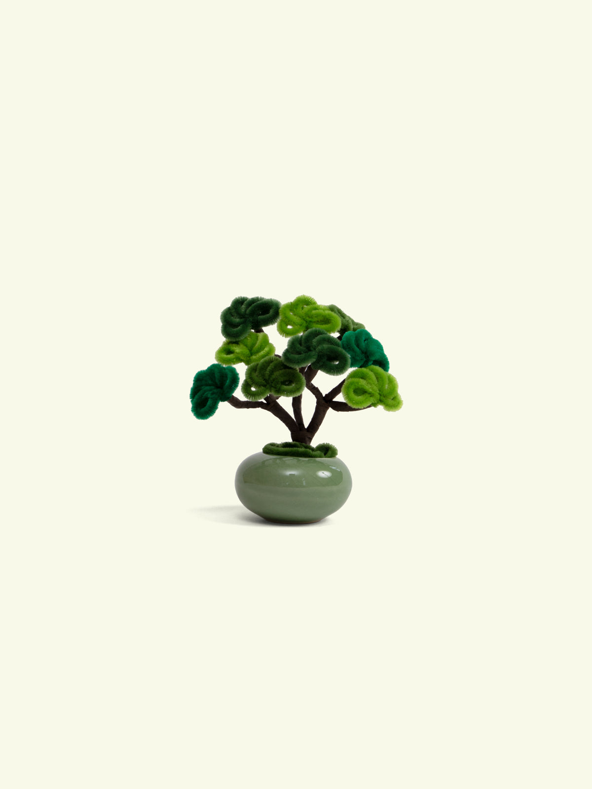 ALLENWOOD FLOWER [BONSAI]