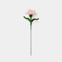 Allenwood Flower [Carnation]
