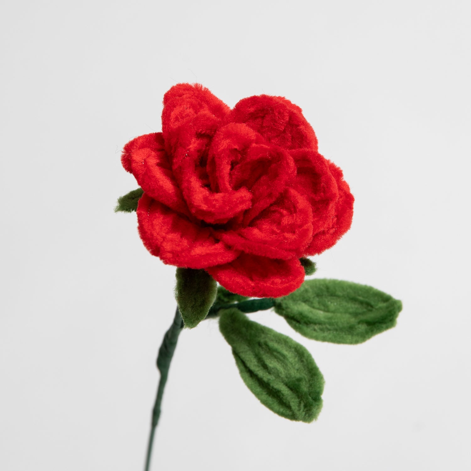 Allenwood Flower [Rose]