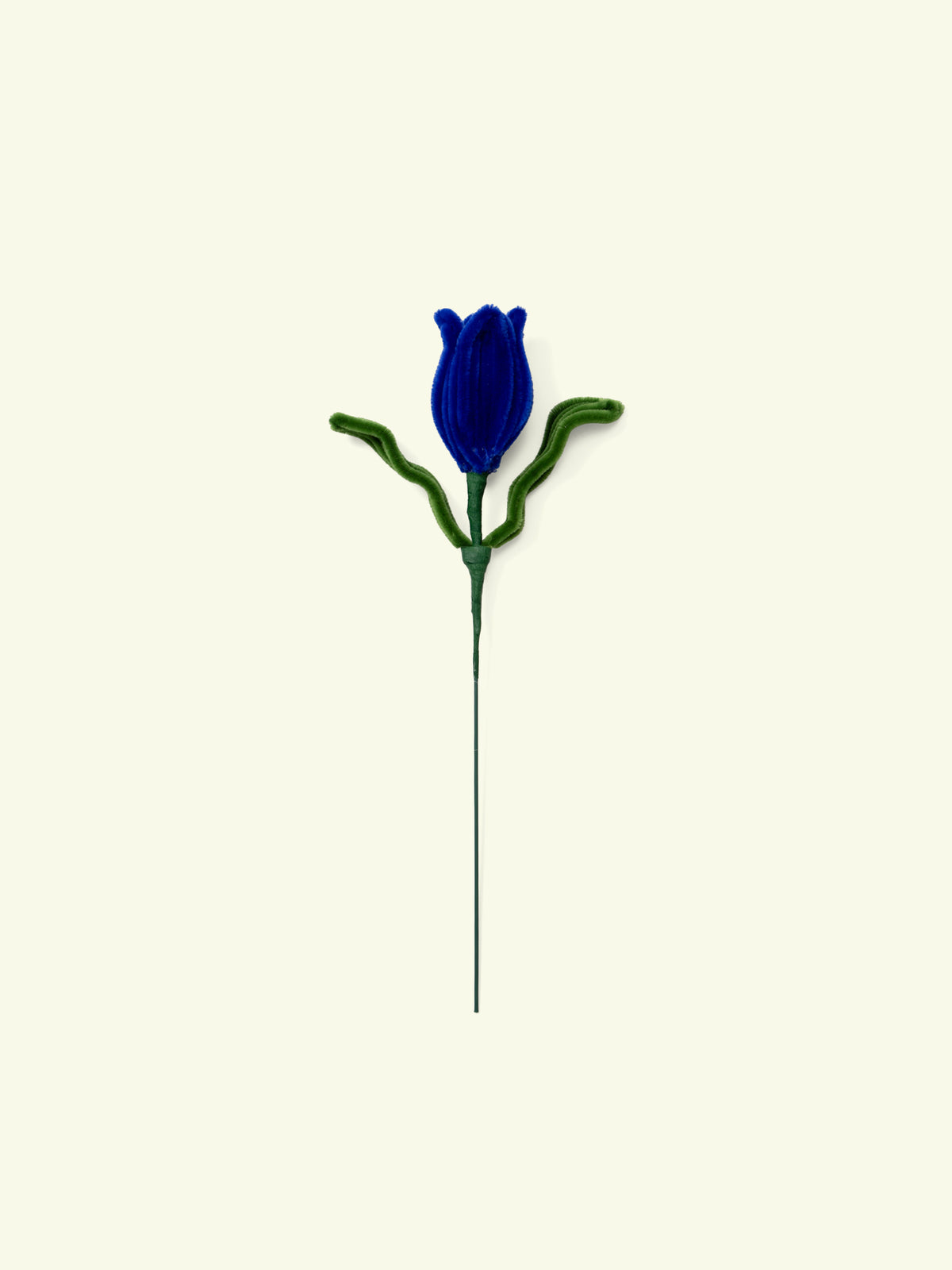 ALLENWOOD FLOWER [TULIP]