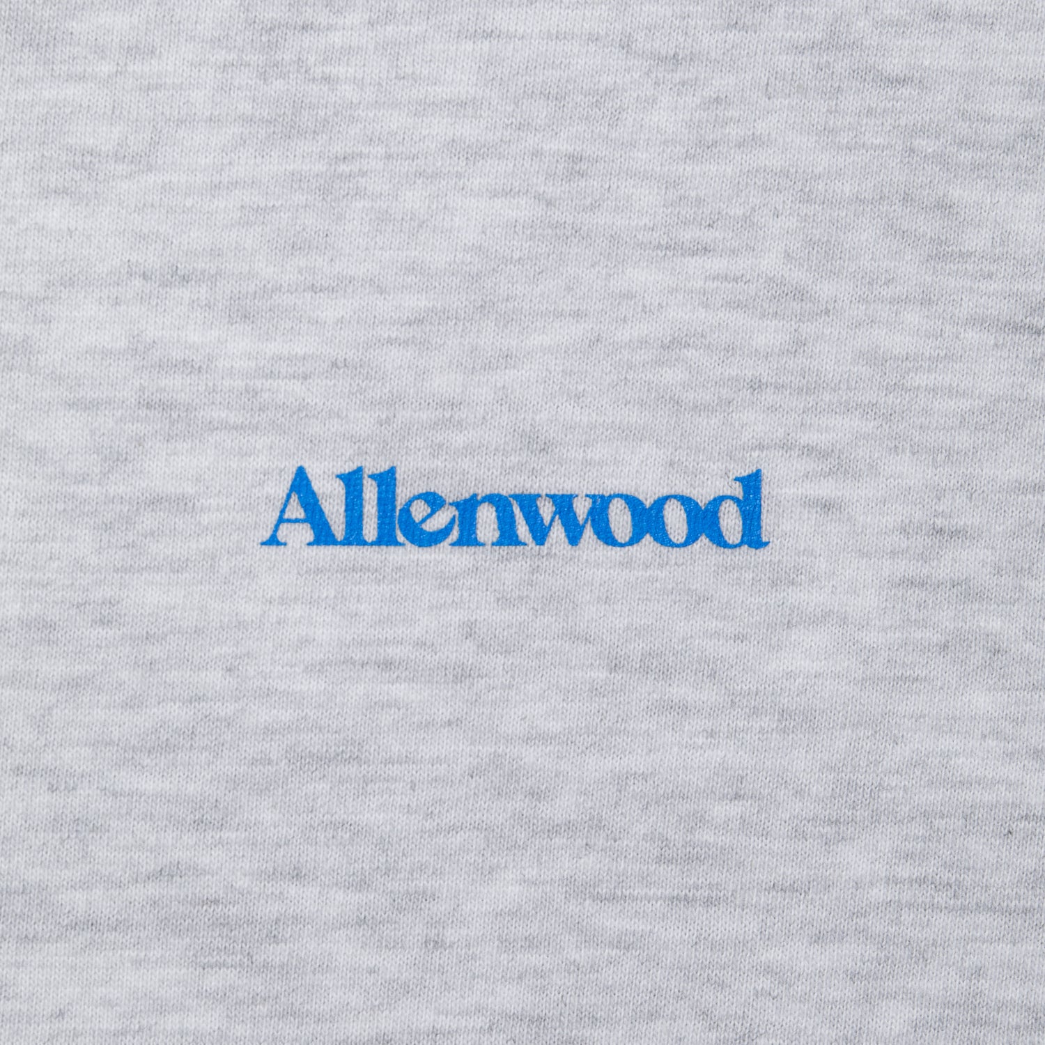 Logo L/S Tee [Ash Gray]