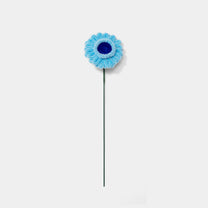 Allenwood Flower [Garbera Daisy]