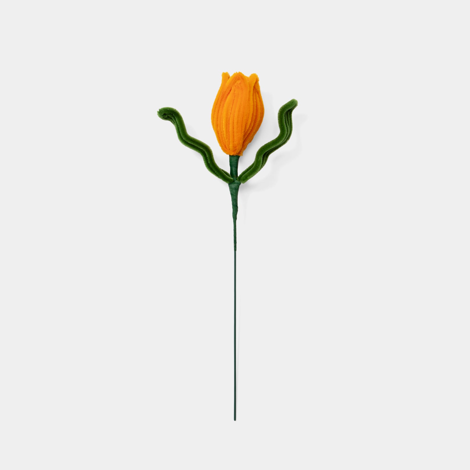 Allenwood Flower [Tulip]
