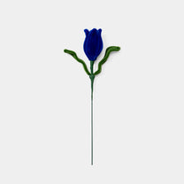 Allenwood Flower [Tulip]