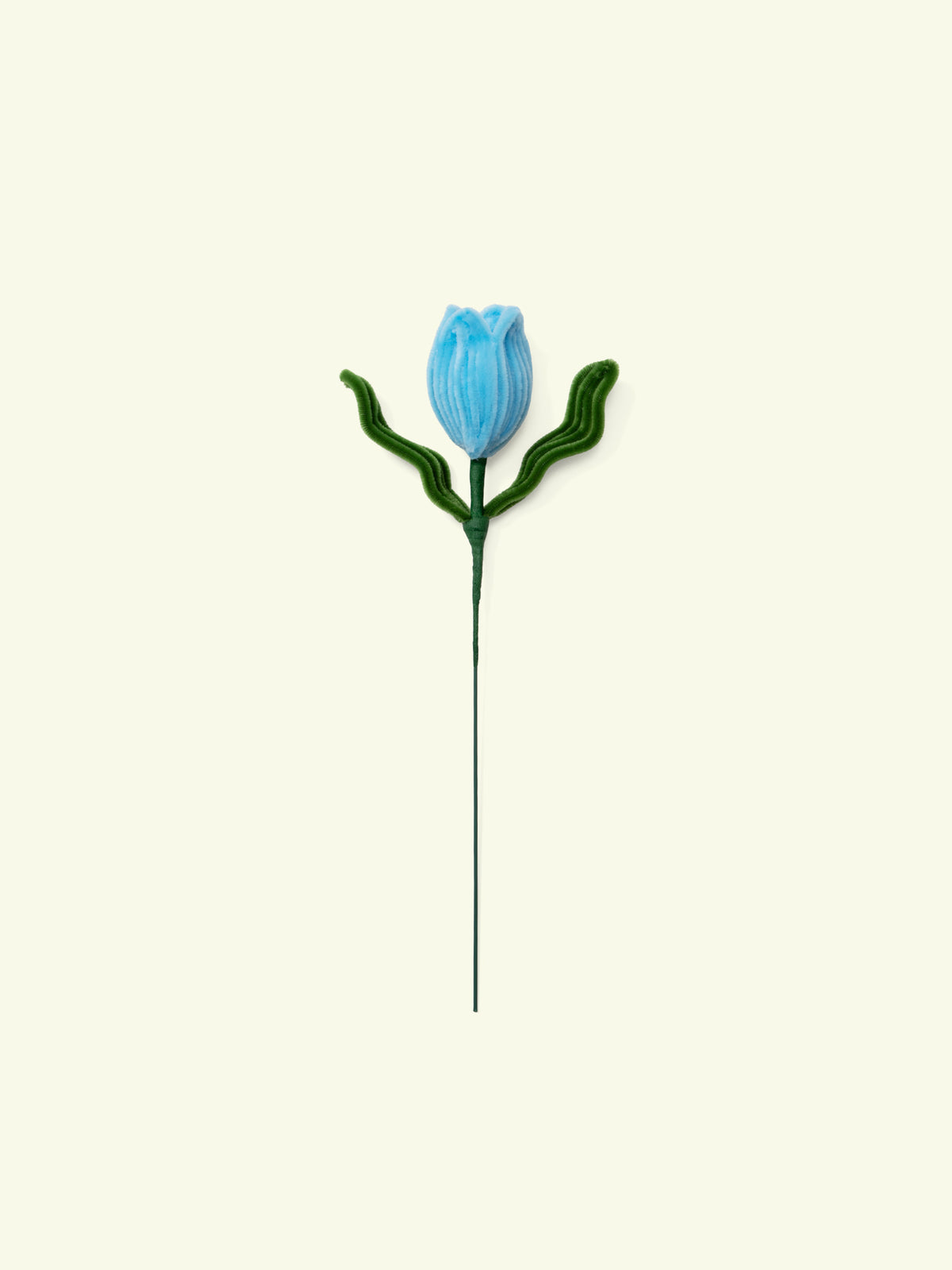 ALLENWOOD FLOWER [TULIP]