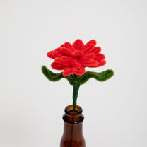 Allenwood Flower [Carnation]