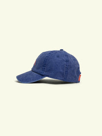 LIBERTY PIGMENT 6 PANEL