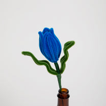 Allenwood Flower [Tulip]
