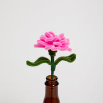 Allenwood Flower [Carnation]