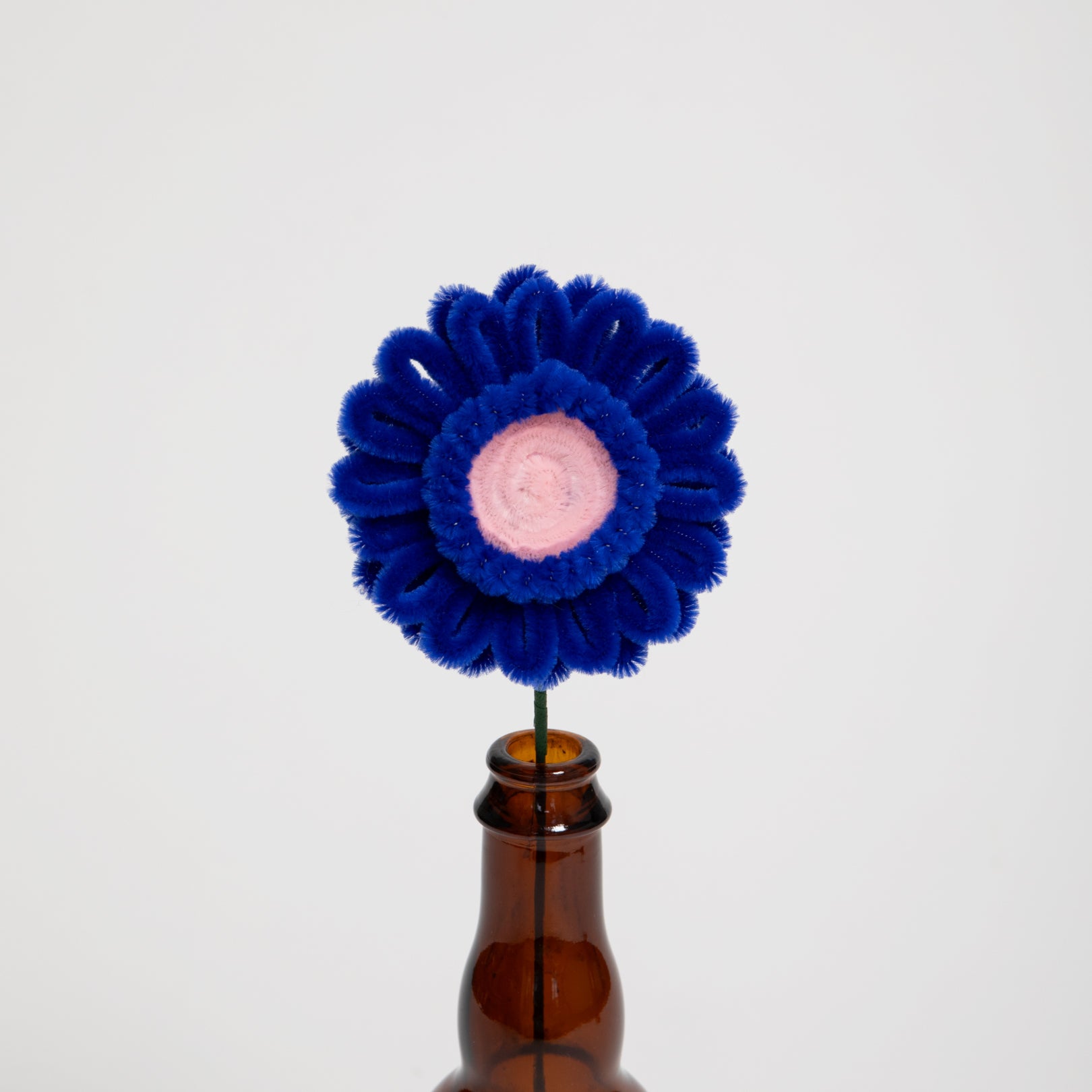 Allenwood Flower [Garbera Daisy]