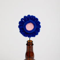 Allenwood Flower [Garbera Daisy]
