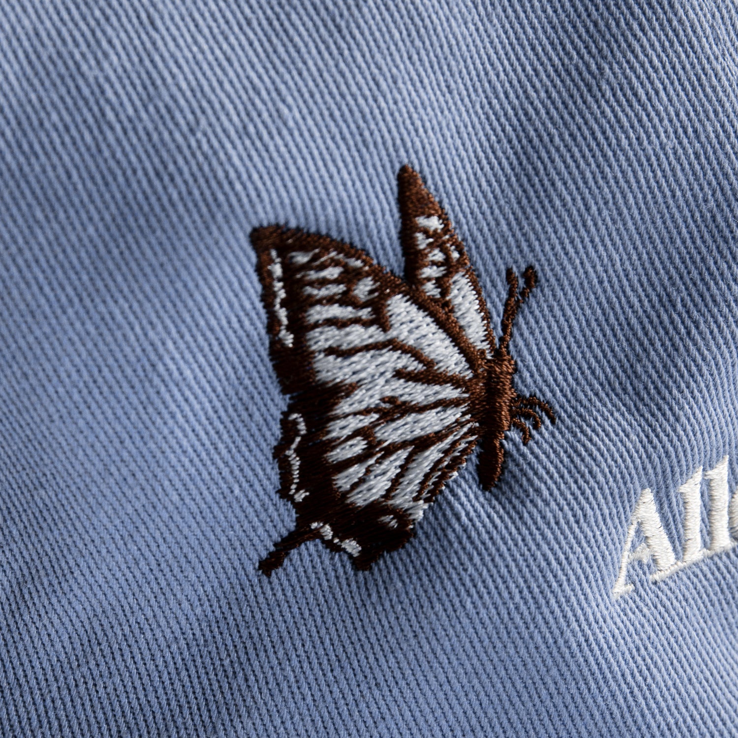 Butterfly BB Cap [Sax Blue]