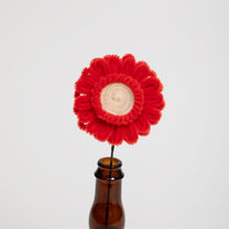 Allenwood Flower [Garbera Daisy]