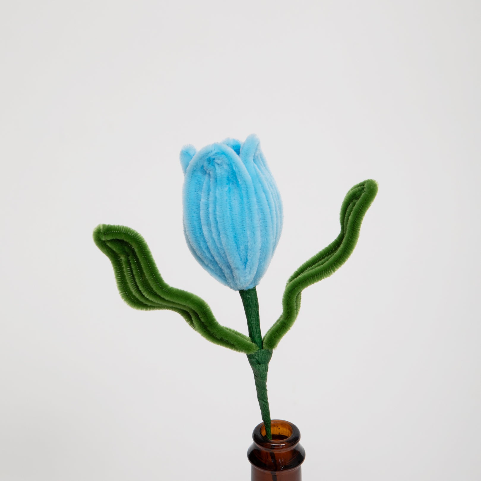 Allenwood Flower [Tulip]