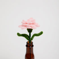 Allenwood Flower [Carnation]