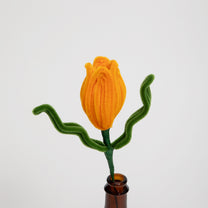 Allenwood Flower [Tulip]