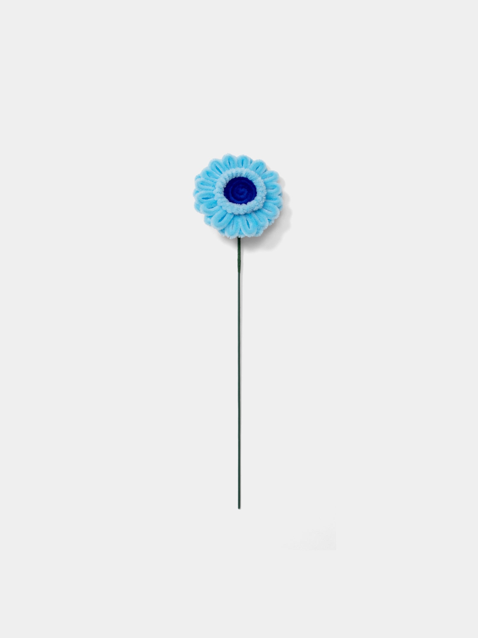 Allenwood Flower [Garbera Daisy]
