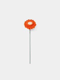 Allenwood Flower [Garbera Daisy]