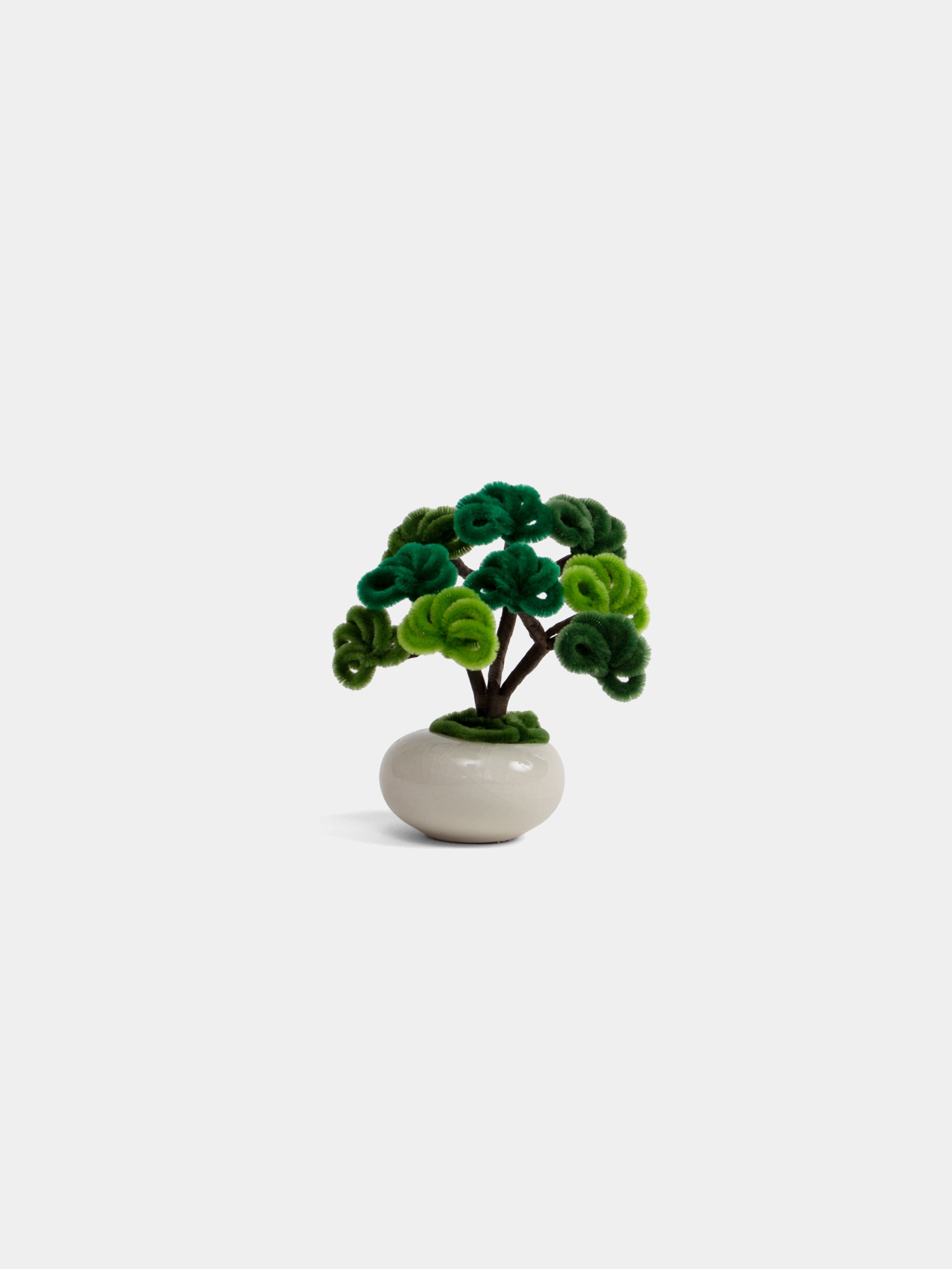 Allenwood Flower [Bonsai]